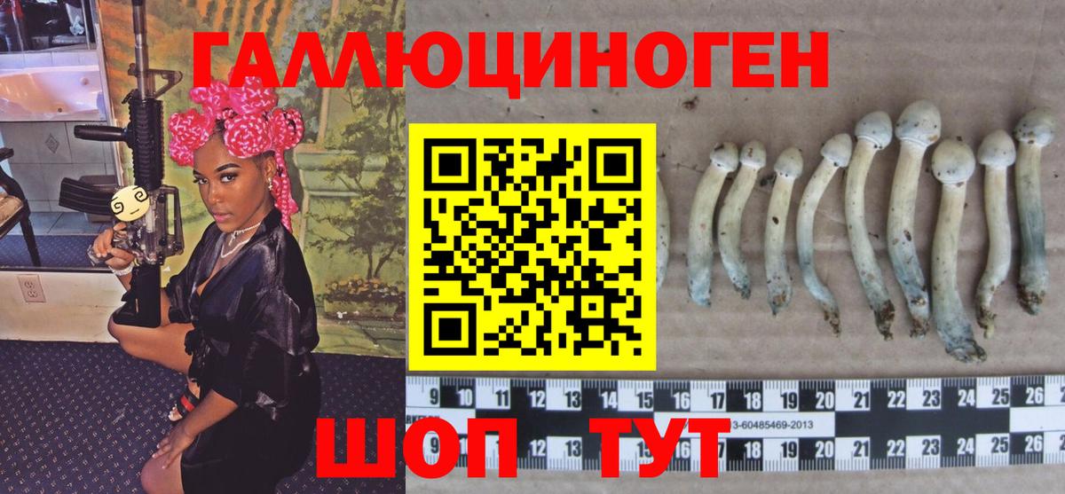Псилоцибиновые грибы GOLDEN TEACHER  Вход с VPN  Тольятти 
